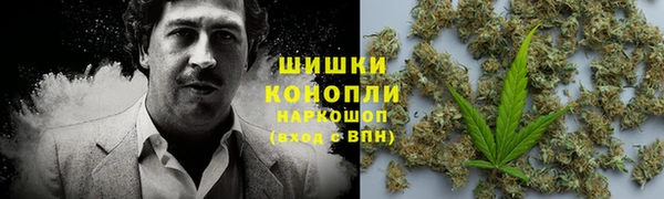 дурь Алзамай
