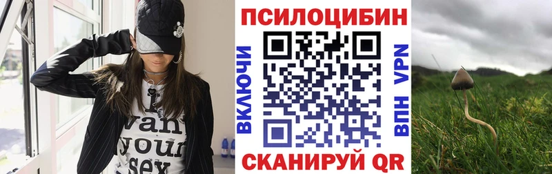 Псилоцибиновые грибы мицелий  купить наркоту  Ивдель 